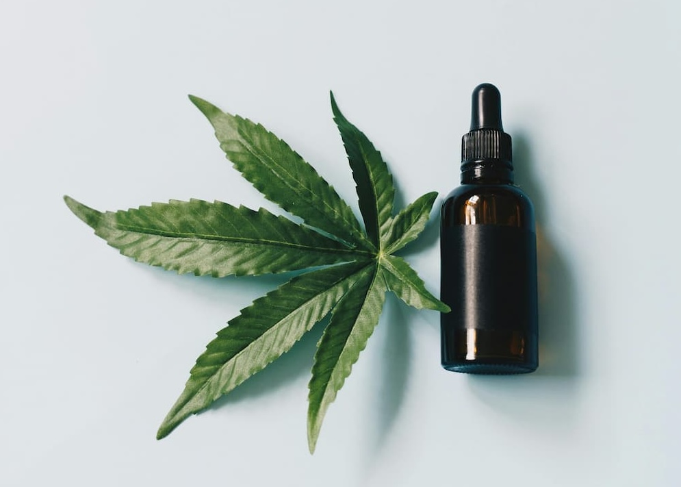 sativa vs indica cannabis